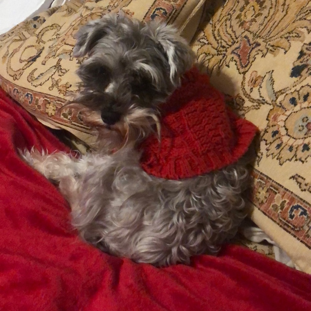 Meet your Posher, Cindy